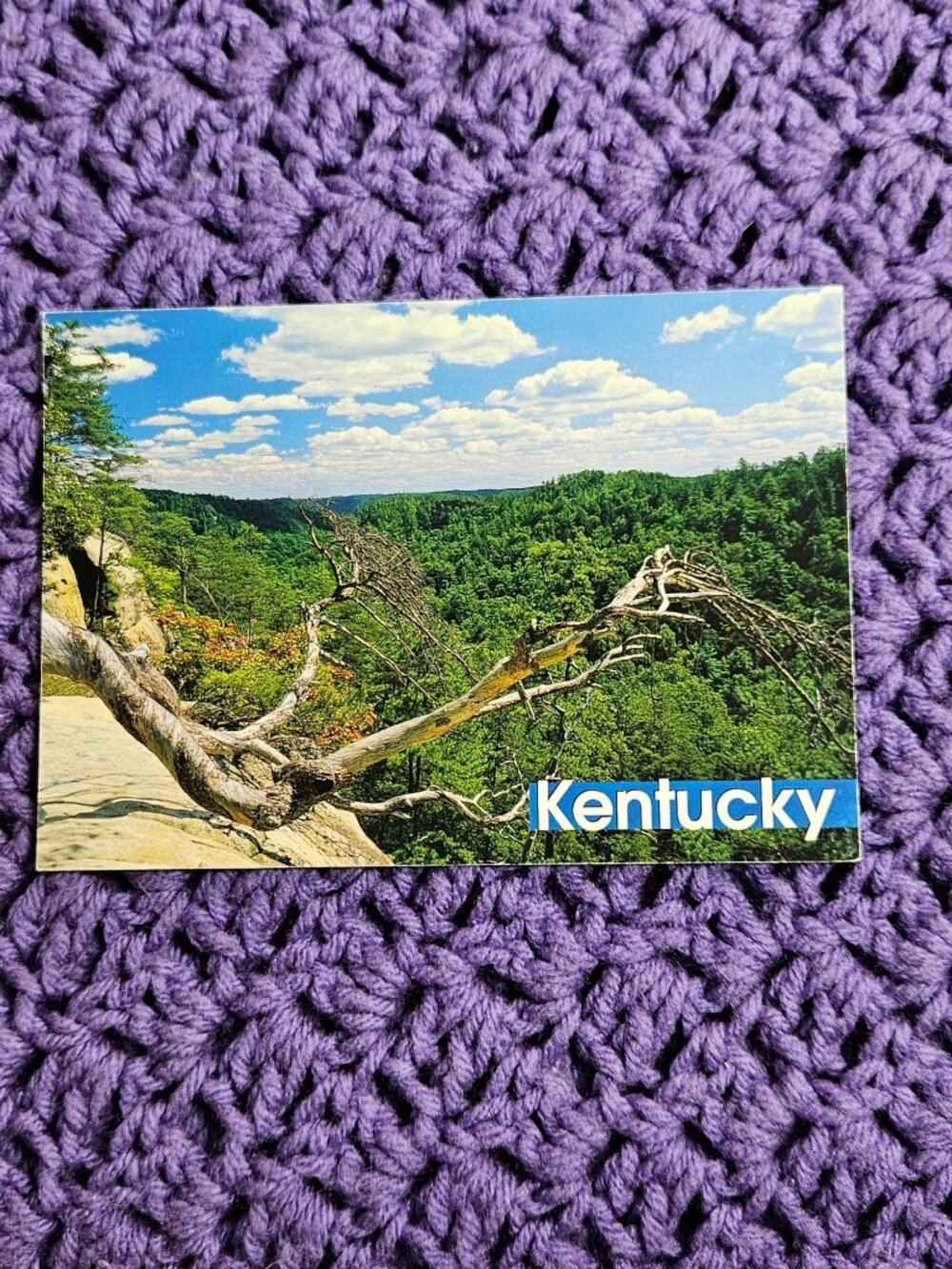 Kentucky Mountains Postcard